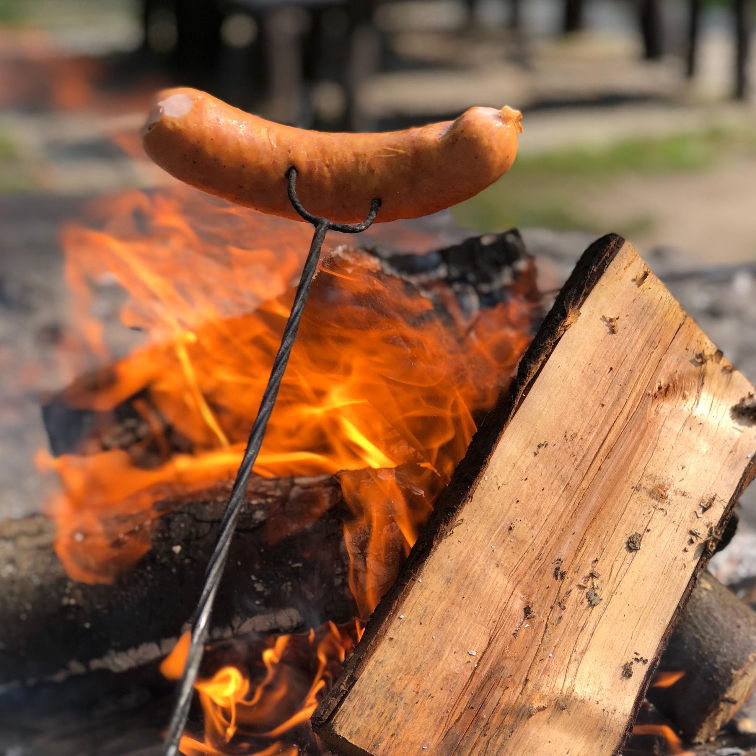 Grill spieße stahl 100cm Feuerstab, Grillspiesse lang für Lagerfeuer, Barbecue, Spieße für grill zum Einfädeln und Braten von Würsten auf dem Feuer Stahlstab, Holzgriff 10 Stück
