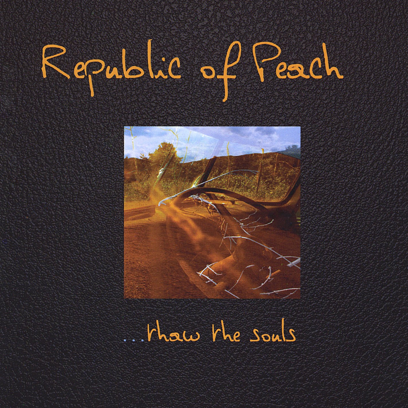 Thaw the Souls [Audio CD] Republic of Peach