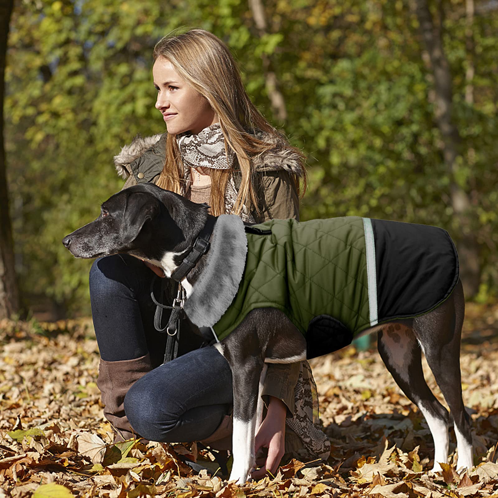 マリア様柄 サイトハウンド用コート（犬服）