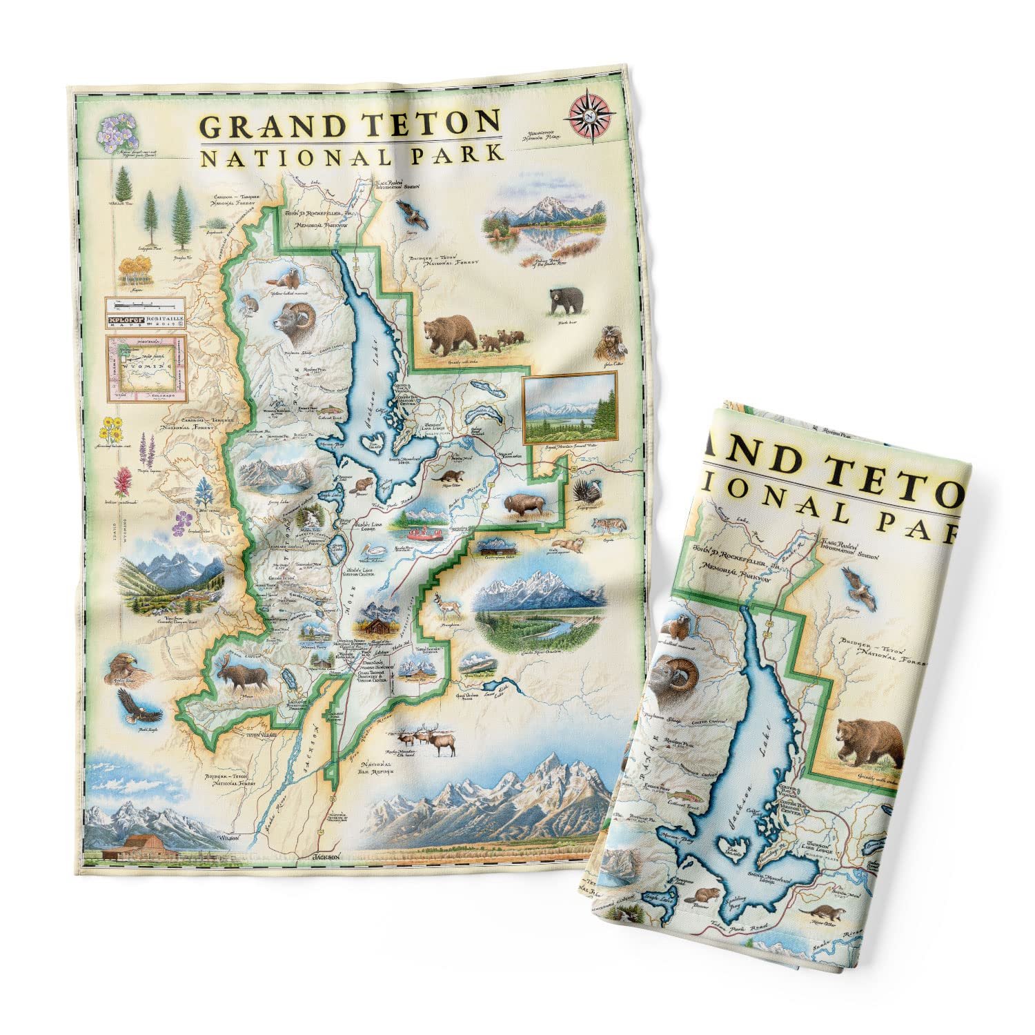 Amazon.com: Xplorer Maps Grand Teton National Park Map Decorative