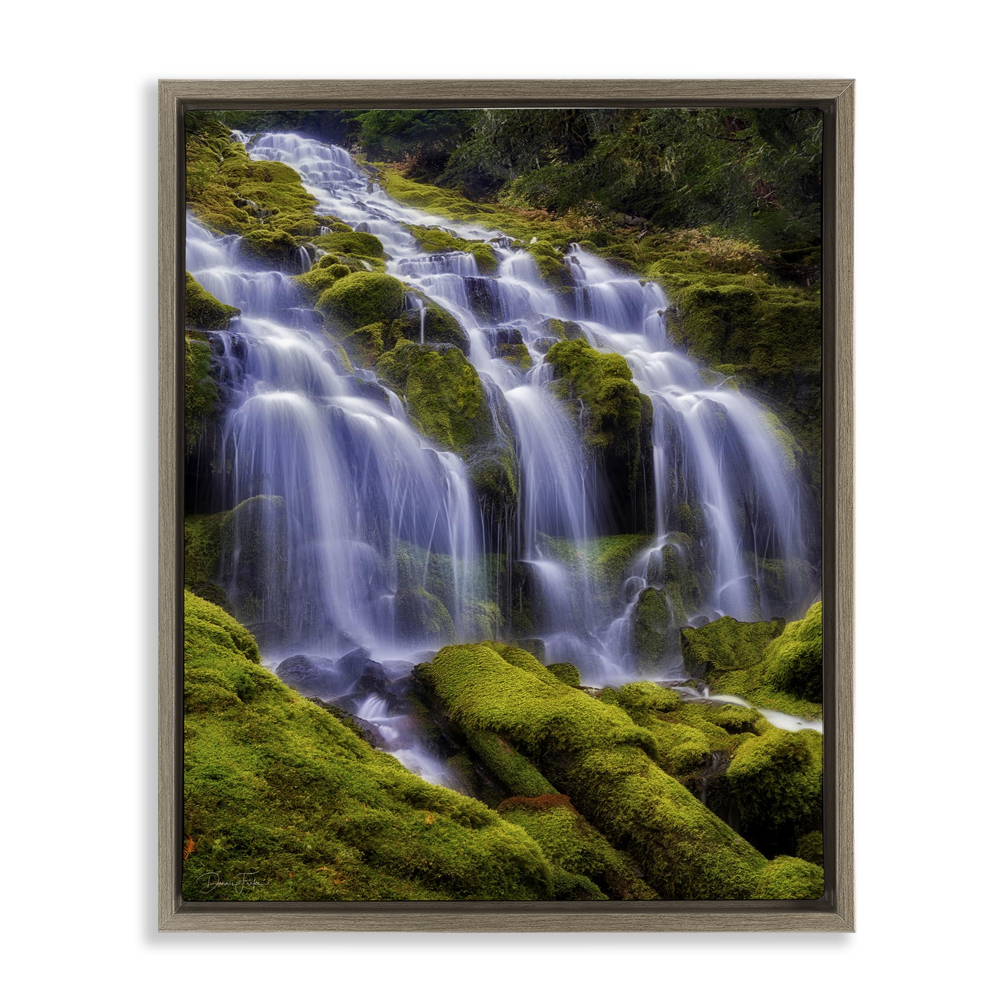 'Upper Proxy Falls'| Floating Frame Canvas Art