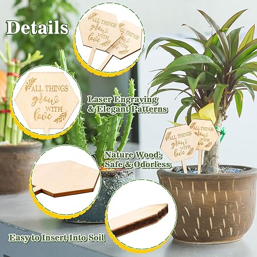 Miniatura 3 de AnyDesign 30 etiquetas de plantas hexagonales de madera con estacas para plantas de jardín para semillas, macetas, regalo de agradecimiento para