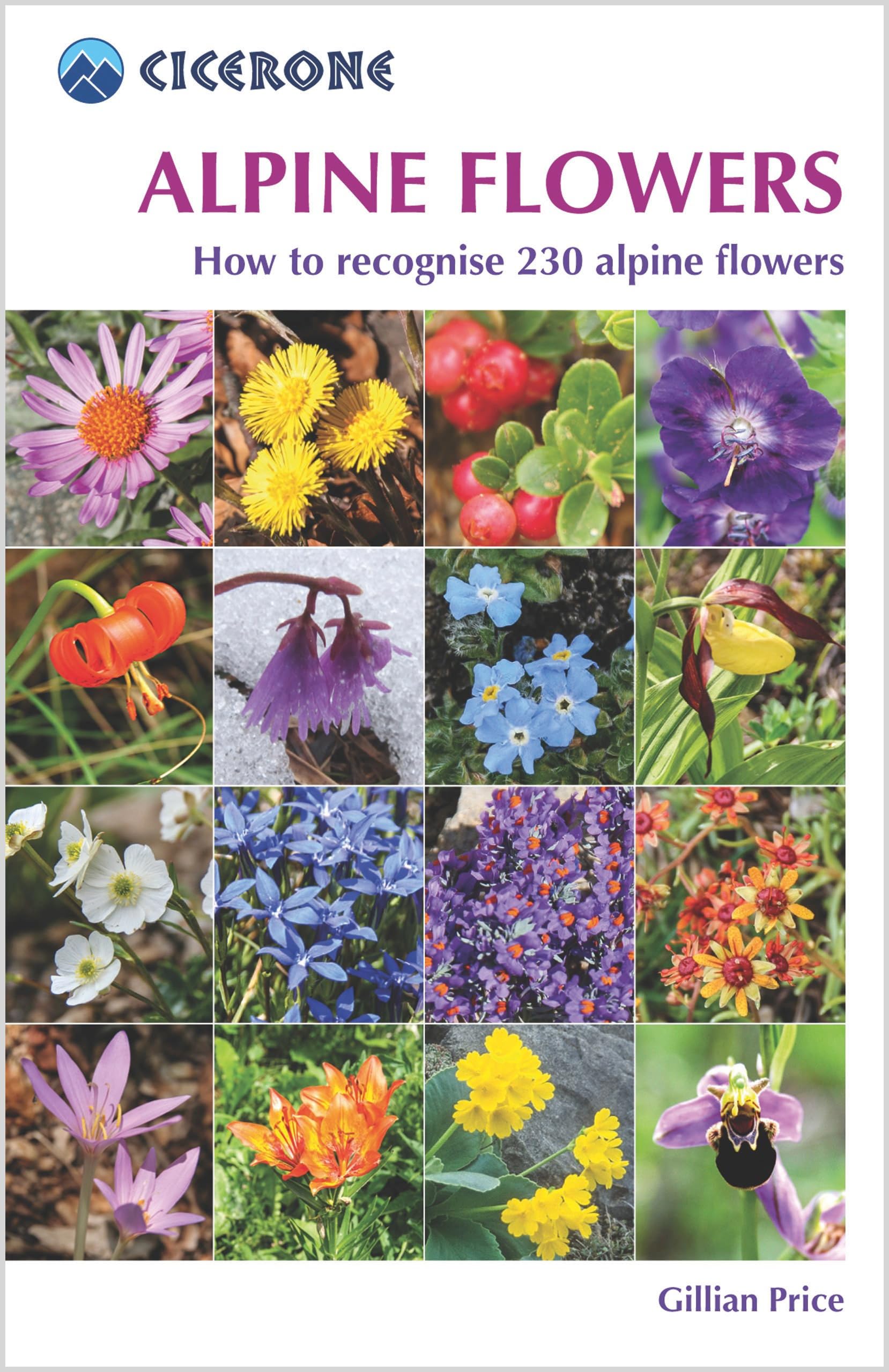 Alpine Flowers: How to recognise 230 alpine flowers (Cicerone Mountain Skills Guides)