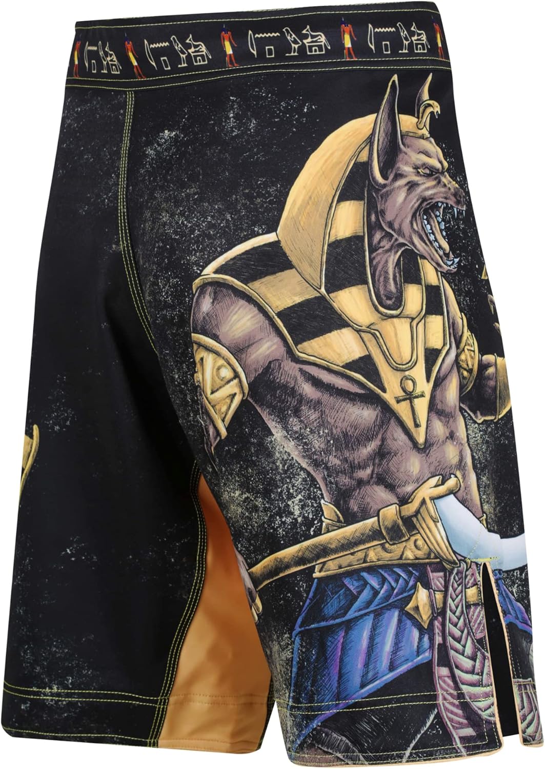 Raven Fightwear Men's Anubis MMA Fight Shorts