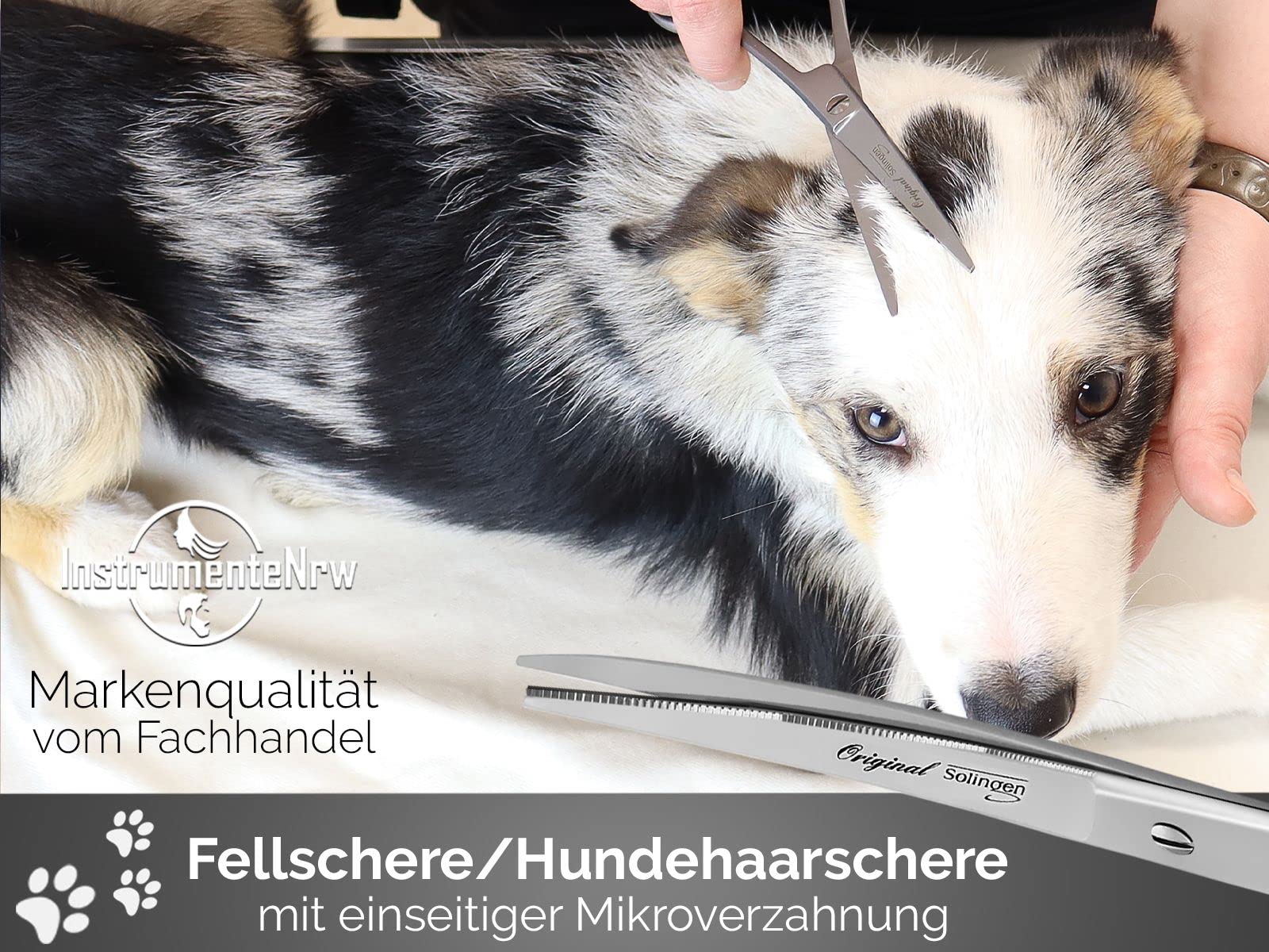 Solinger Fellschere Hundeschere Made in Germany Haarschere gebogen mit einseitiger Mikroverzahnung aus Rostfreiem Edelstahl Hundehaarschere für die Fellpflege bei Hunden, Katzen, Haustieren (8 Zoll)