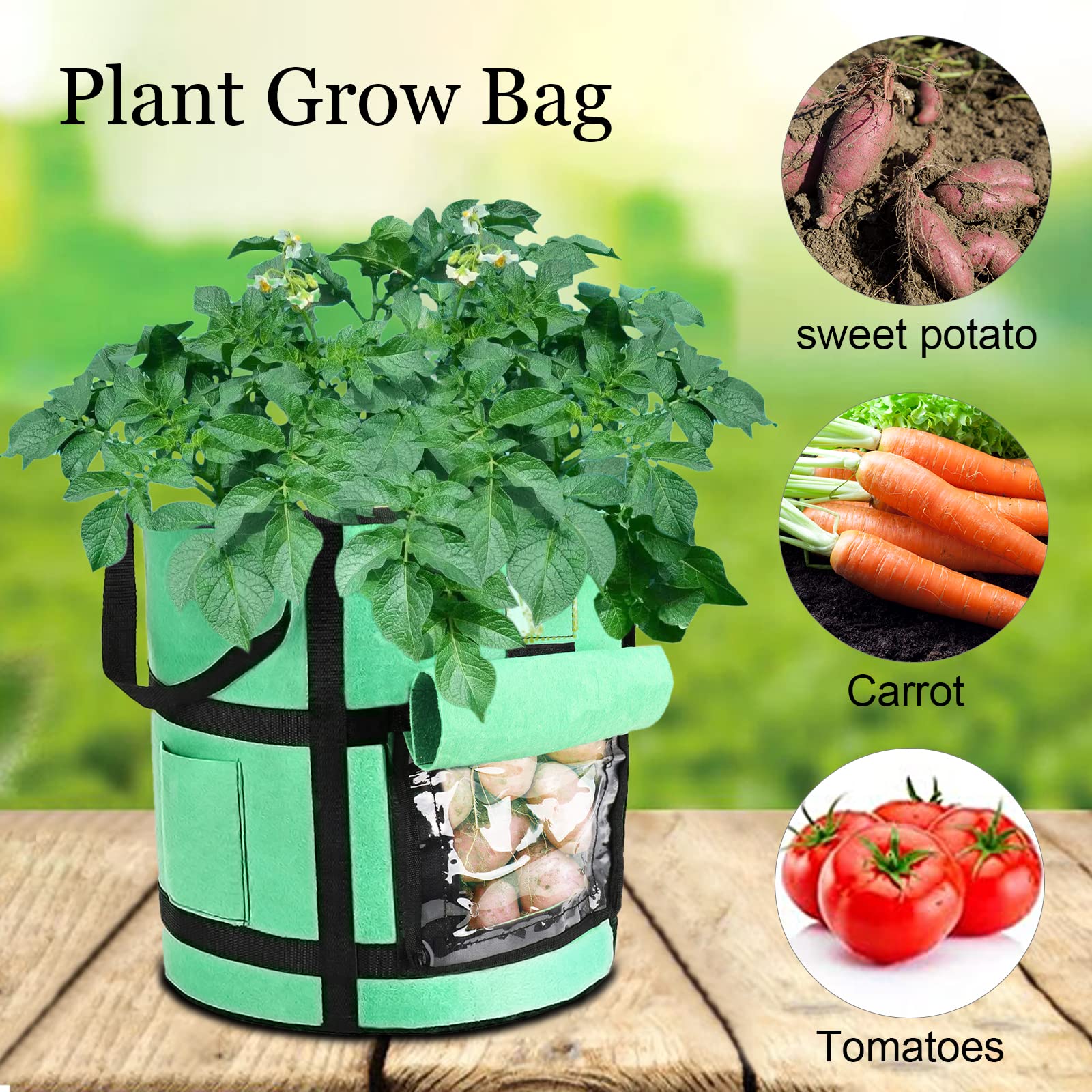 2 Pz 10 Gallon Sacchi Coltivazione Fragole Sacchetti per Piantare Fragole in Tessuto Non Tessuto