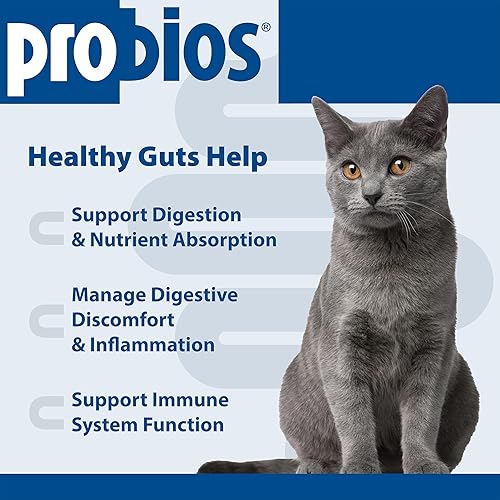Miniatura 3 de Probios Intelliflora para gatos, polvo probiótico diario, suplemento nutricional para la salud intestinal, digestión y apoyo inmunológico, 30 sobres