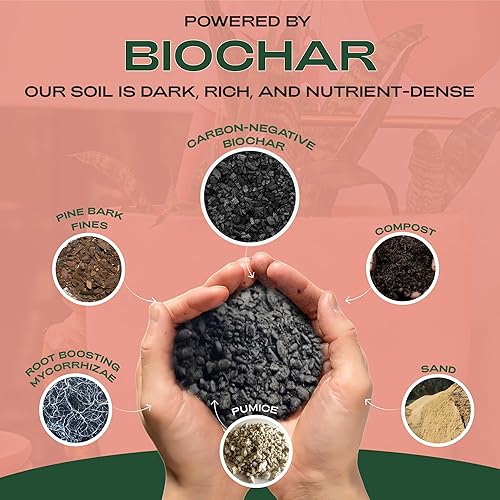 Miniatura 18 de Rosy Soil - Tierra para plantas de interior, mezcla orgánica enriquecida con biocarbón estimulante de raíces para plantas de follaje, flores, Planta