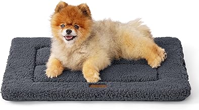 Bedsure Tapis Lavable pour Petits Chiens - 61x46 cm lit pour Grands Chats avec Rembourrage en Mousse Haute densité, Coussin en Peluche Sherpa Lavable pour Chiens et Chats, Gris foncé
