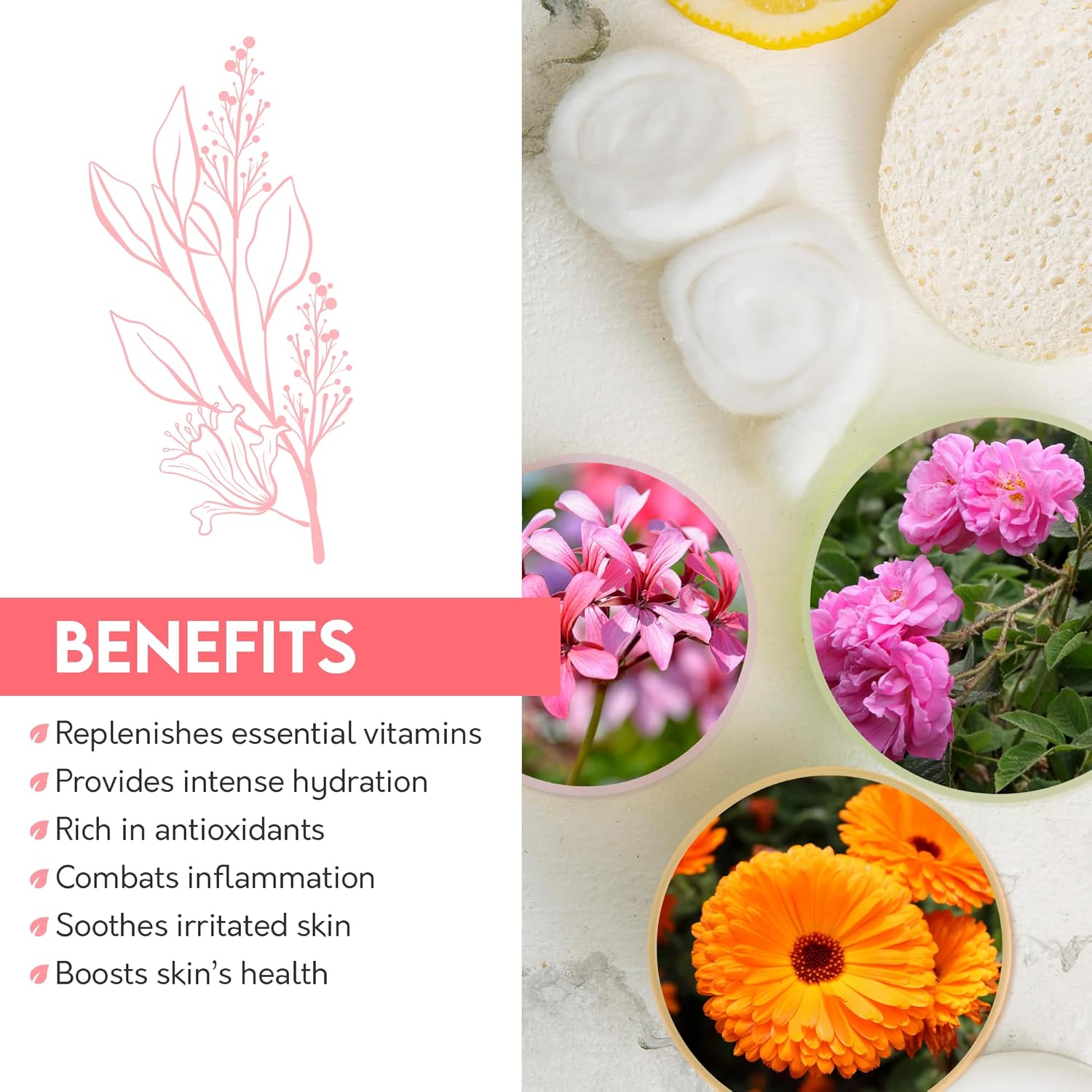 Wild White Rose Toner | Purifying Face Toner to Cleanse, Recondition and Purify Skin | 100 mL / 3.4 fl. oz - Image 4