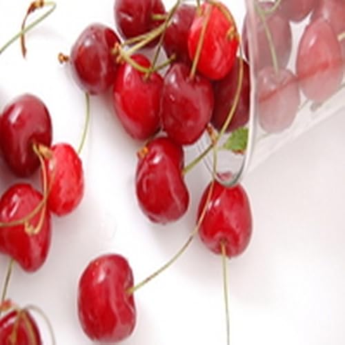 Denver Potato Casserole - //medicalbooks.filipinodoctors.org