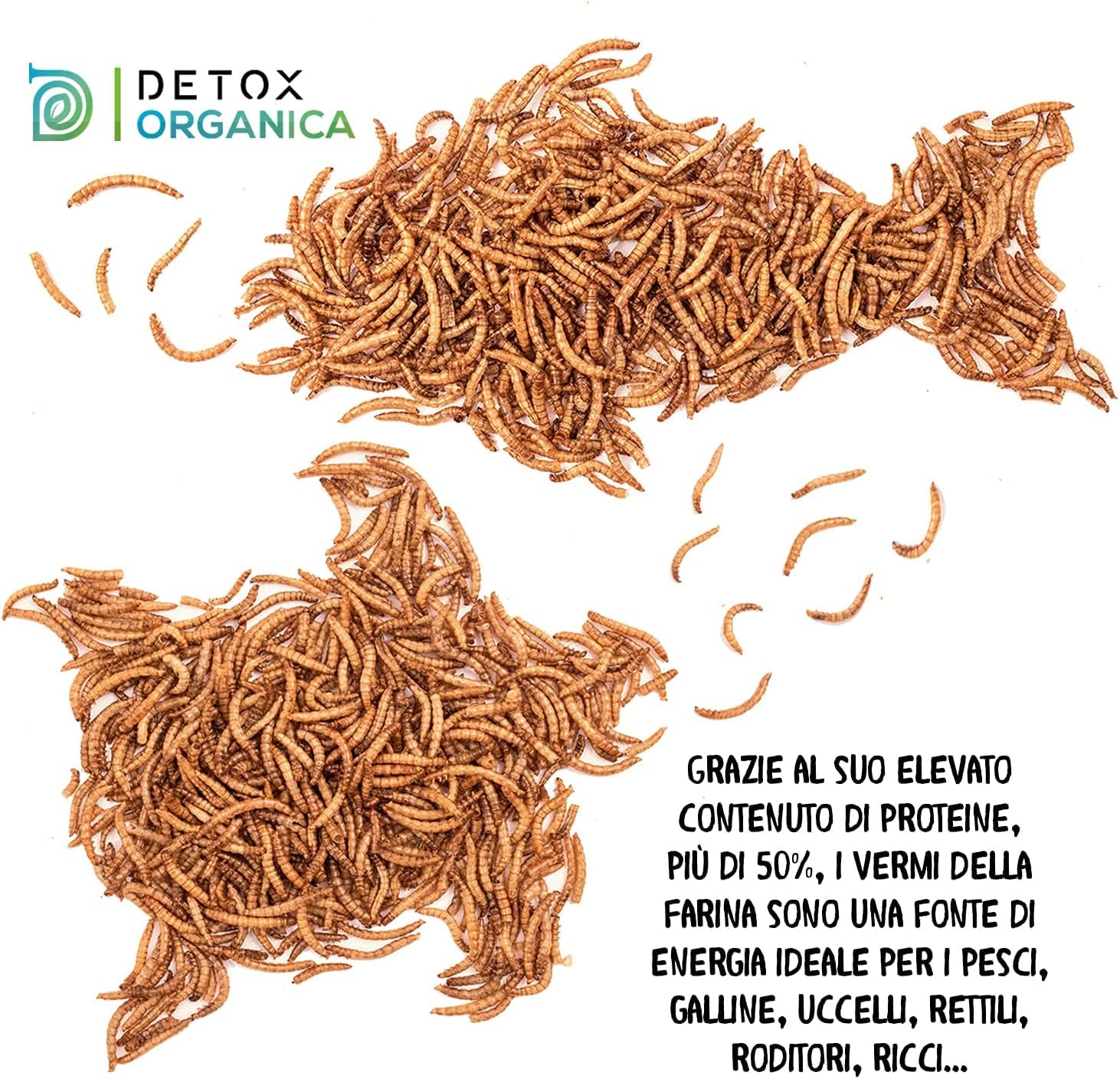 Detox Organica Camole della Farina Essiccate 160gr 1000ml Mangime per Uccelli Selvatici, Pesci, Tartarughe, Roditori, Rettili