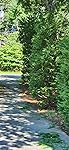Review Image by J e f f Bezos