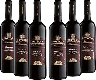 Bottega Amarone Valpolicella Docg - 750 ml