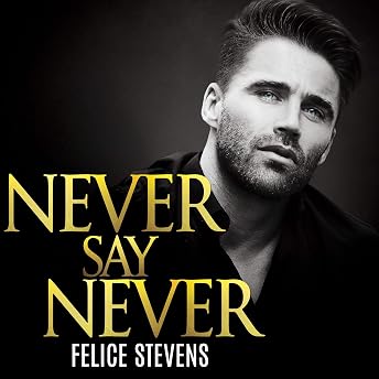 Never Say Never Audiobook by Felice Stevens episode artwork