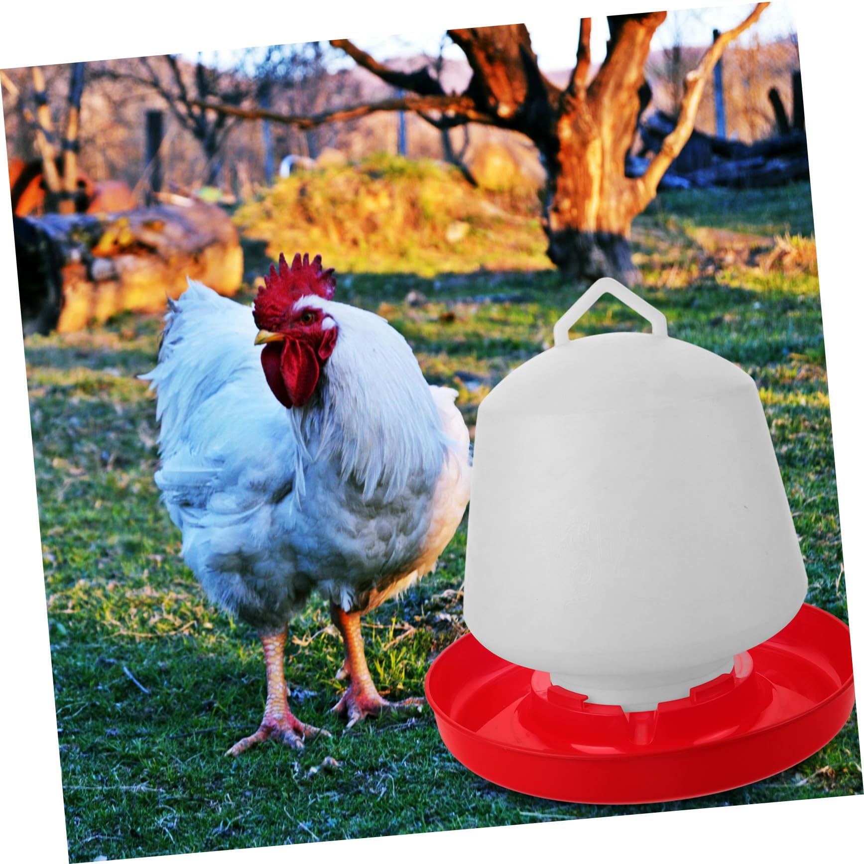 Mangiatoia per Galline Resistente alla Pressione e Protezione Solare in Plastica Bianca Design Creativo Forme a Vasca Adatta per Uso Esterno