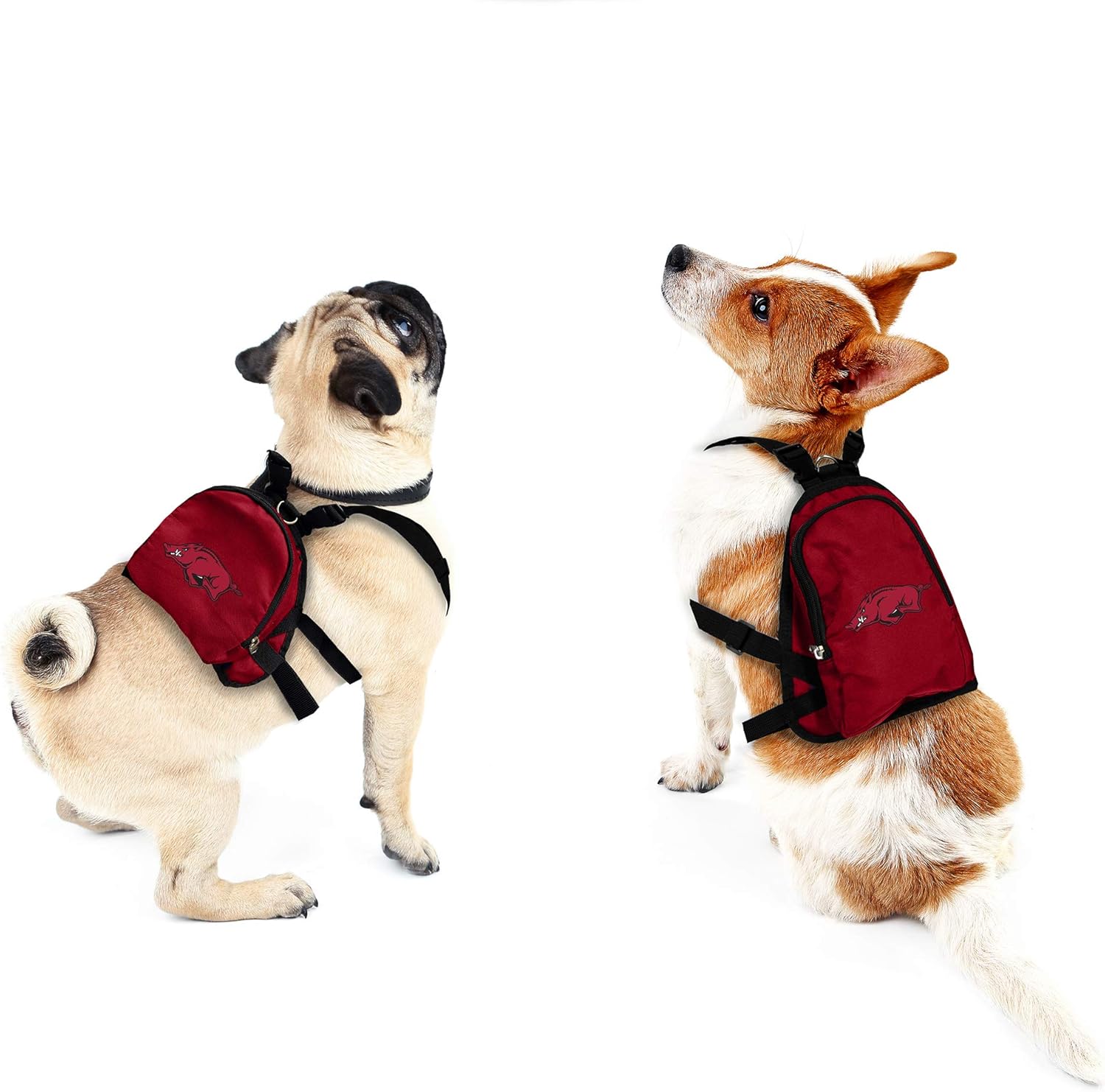 Littlearth NCAA Pet Mini Backpack - Pet Apparel - Pet Accessories - for Dogs and Cats, Team Color