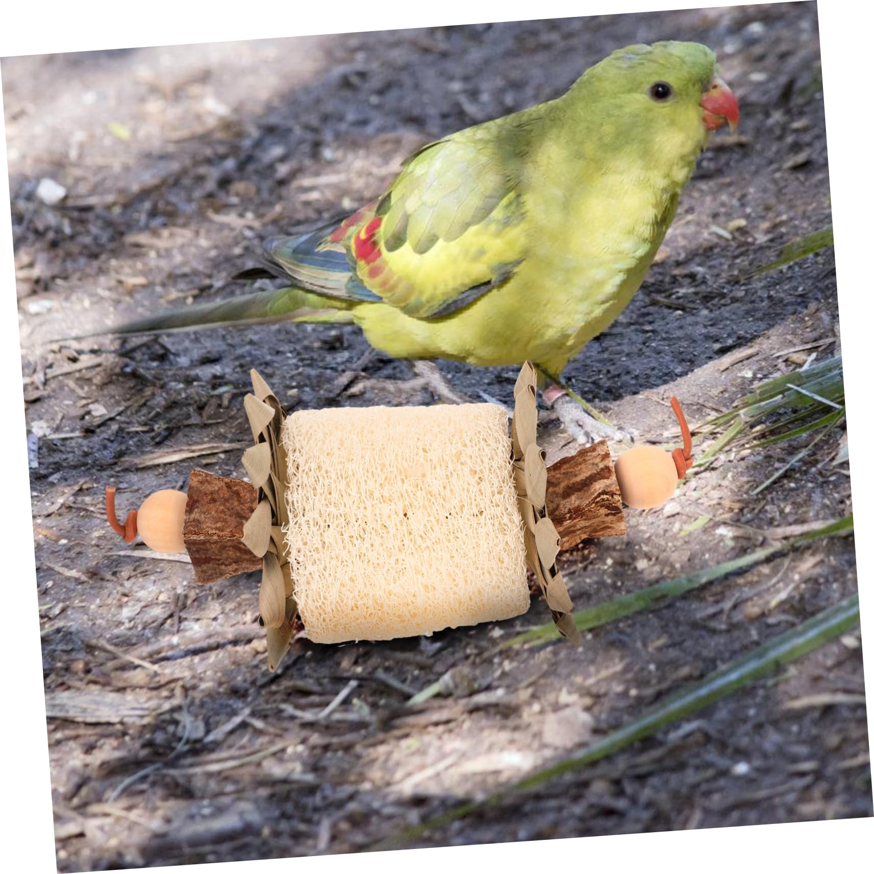 Jouet à Mâcher pour Oiseaux Suspendu en Loofah et Feuilles de Palmier