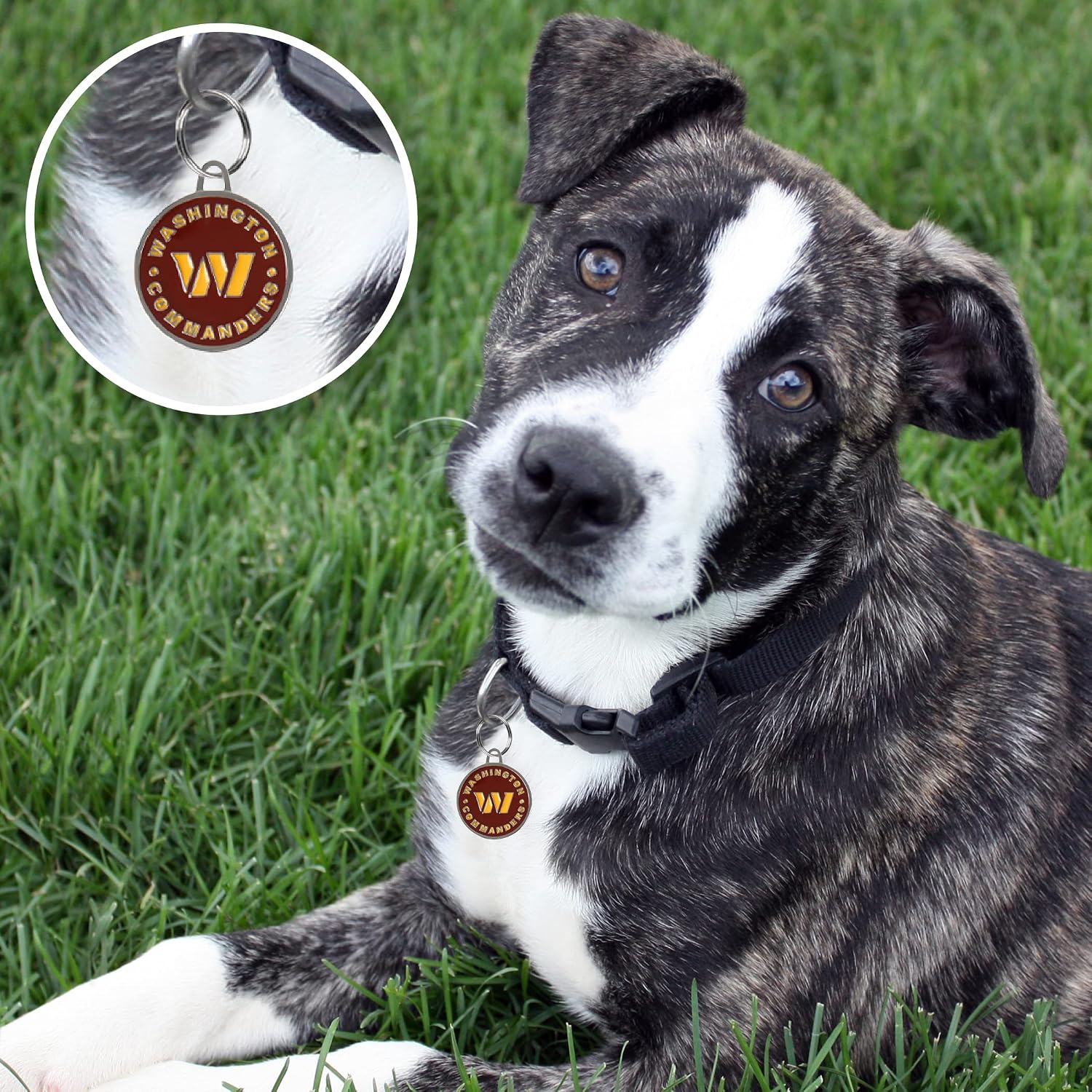 NFL Washington Commanders Engraving Pet ID Tags in 32 Team Logo Shapes - Personalized Dog & Cat Tags with 3 Lines of Customizable Text for Tracking & Safety - Stainless Steel Pet ID Tracking Tags