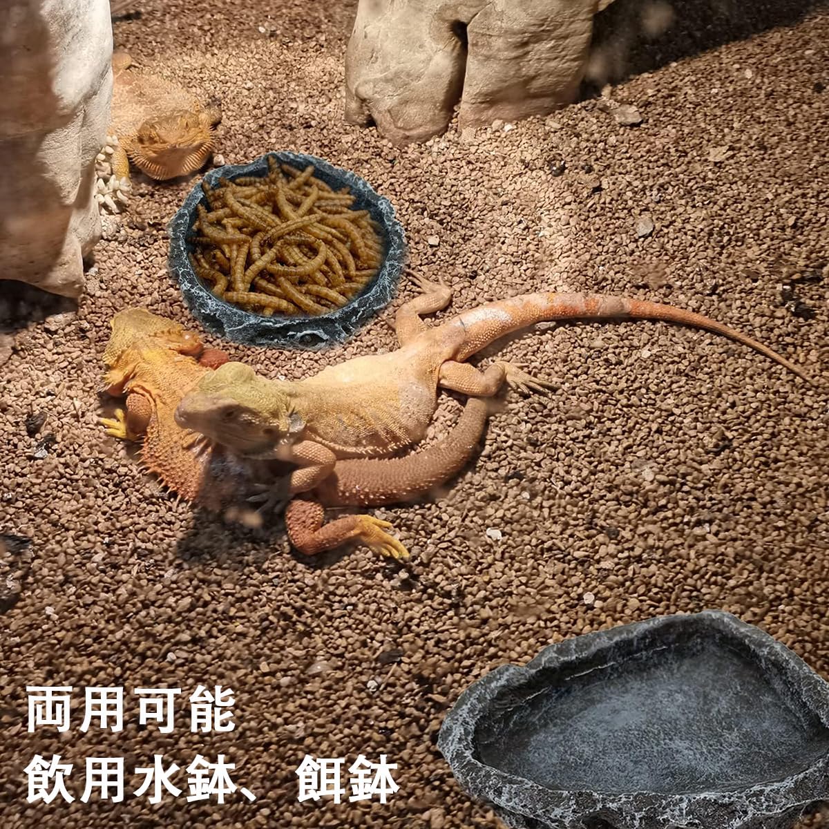 Amazon | 爬虫類 水入れ 餌入れ エサ皿 水飲み皿 自然の岩イメージ