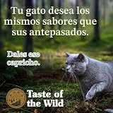 Ver la foto 4
