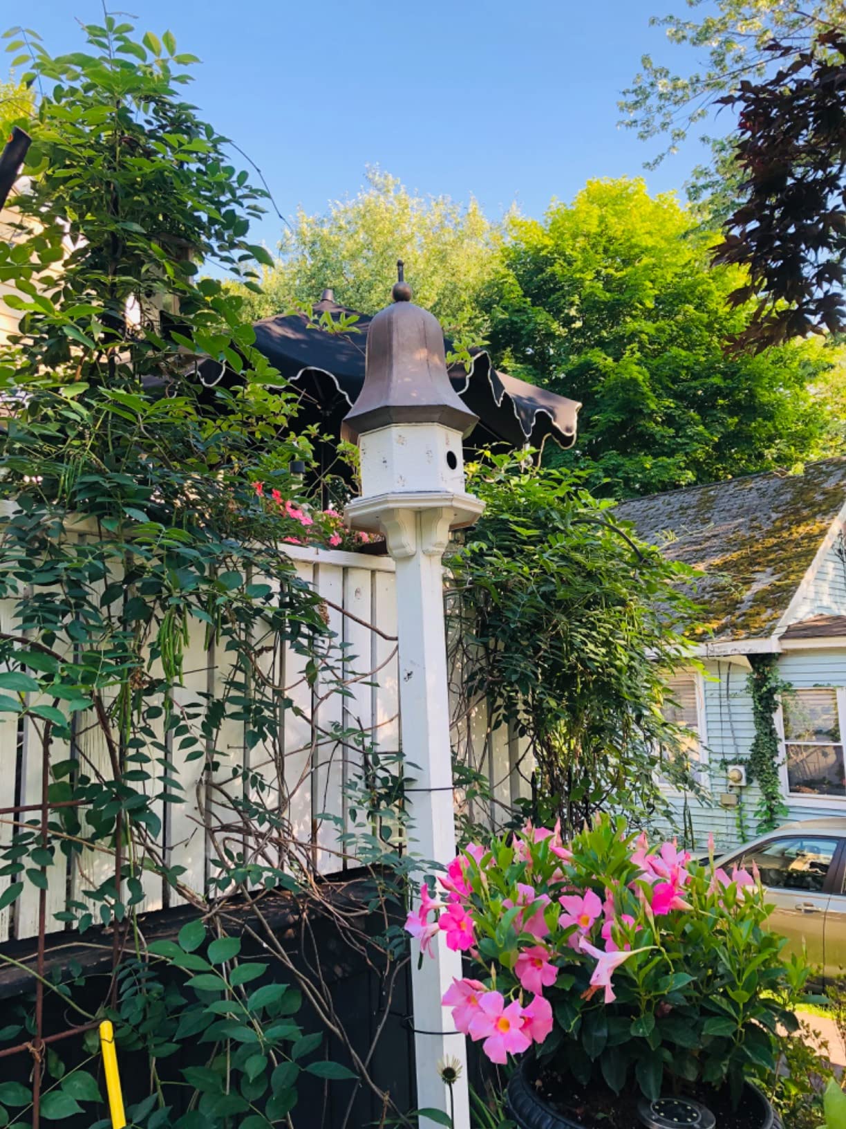 22/mo Finance Creative CoOp Distressed Cream & Bronze Decorative