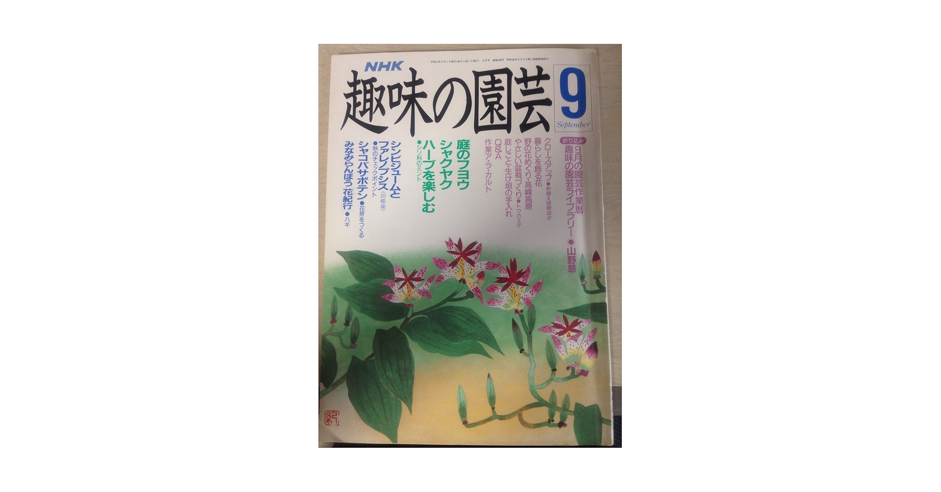 【レア品】34年前の古書　ＮＨＫ趣味の園芸　19冊1991年〜1992年 昭和 レア品】34年前の古書 NHK趣味の園芸 19冊1991年〜1992年