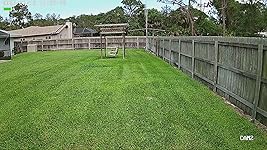 Review Image by Hank Hank