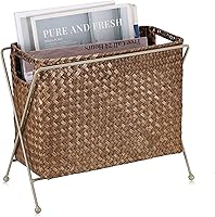 BTSKY Handwoven Seagrass Magazine Holder with Metal Rack - Stylish Mail File Organizer Basket for Office, Living Room, Dorm, Bathroom (12x5.7x8.7")