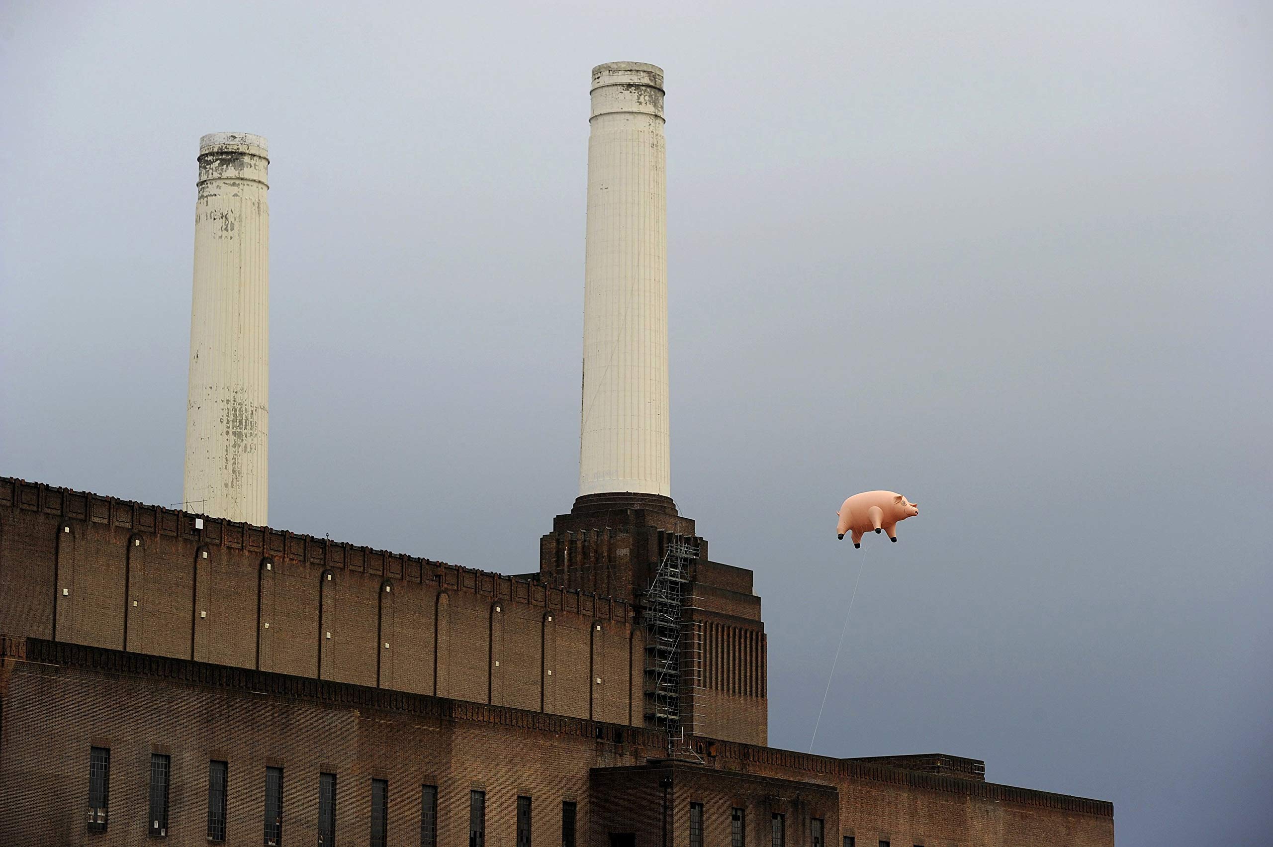 Tallenge - Pink Floyd - Flying Pig Algie - X Large Poster Paper (24 x 34 inches) - Multi - Colour