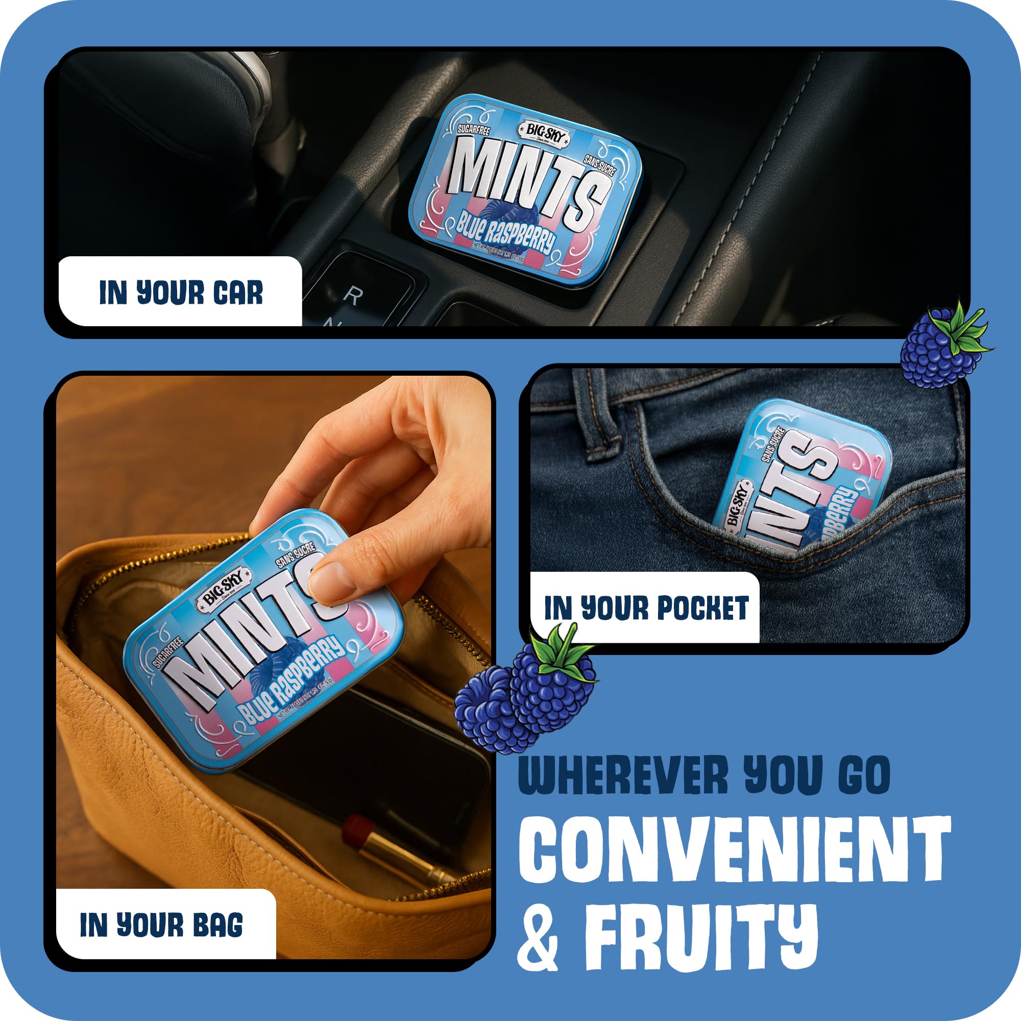 Bluesky.Mint様　4点おまとめ Amazon.com : Big Sky Sugar Free Blue Raspberry Mints - 50 Count