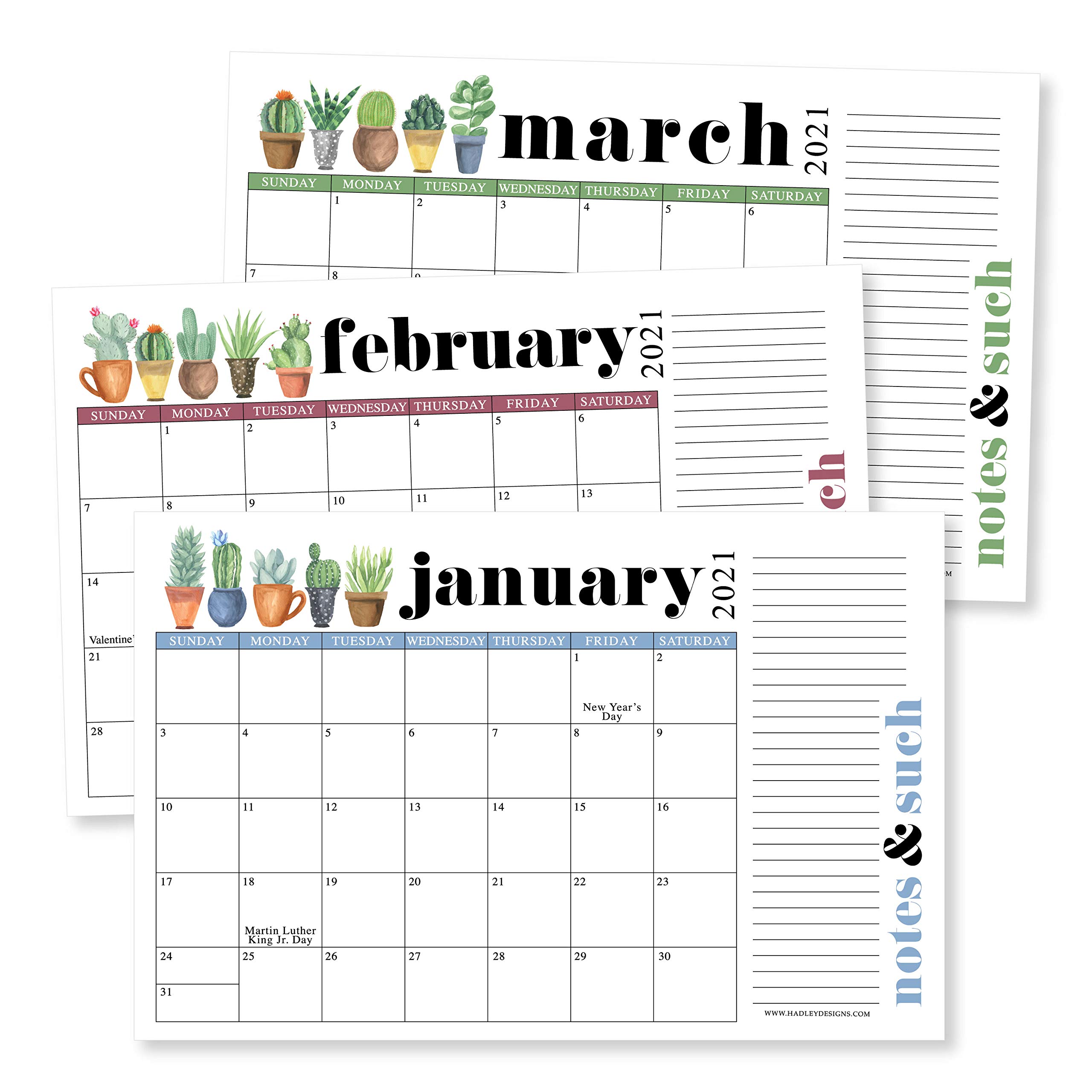 Cactus 2021-2022 Desk Calendar, Large Monthly Wall Planner, 18 Month Academic Desktop Calendar or Fridge Planning Blotter Pad, Succulent Notes Section for Teacher, Family, or Business Office 11x17"