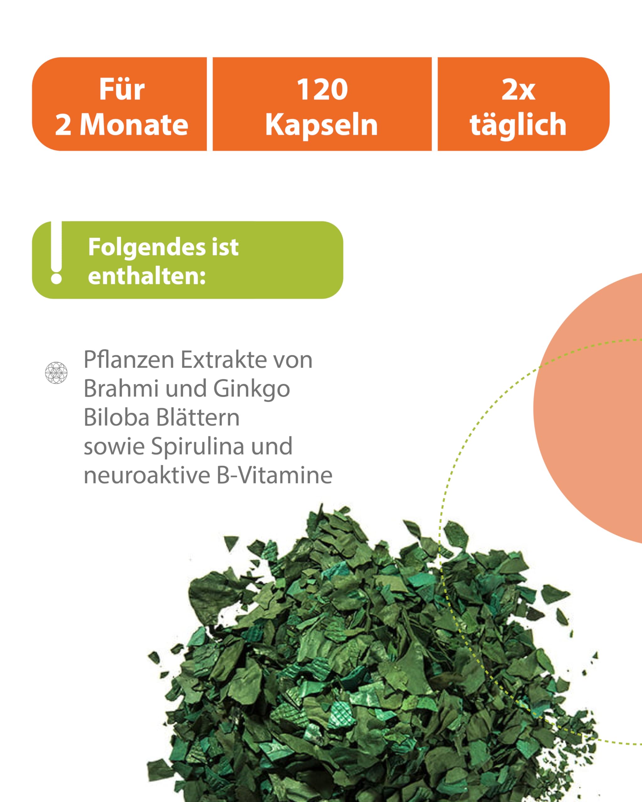 BRAHMI Plus Konzentrations- & Gehirn Kapseln für Frauen 120 Stk. vegan - Mit Vitamin B5 Pantothensäure für normale geistige Leistung, Mit Brahmi, Ginkgo, Gojibeere & Zink