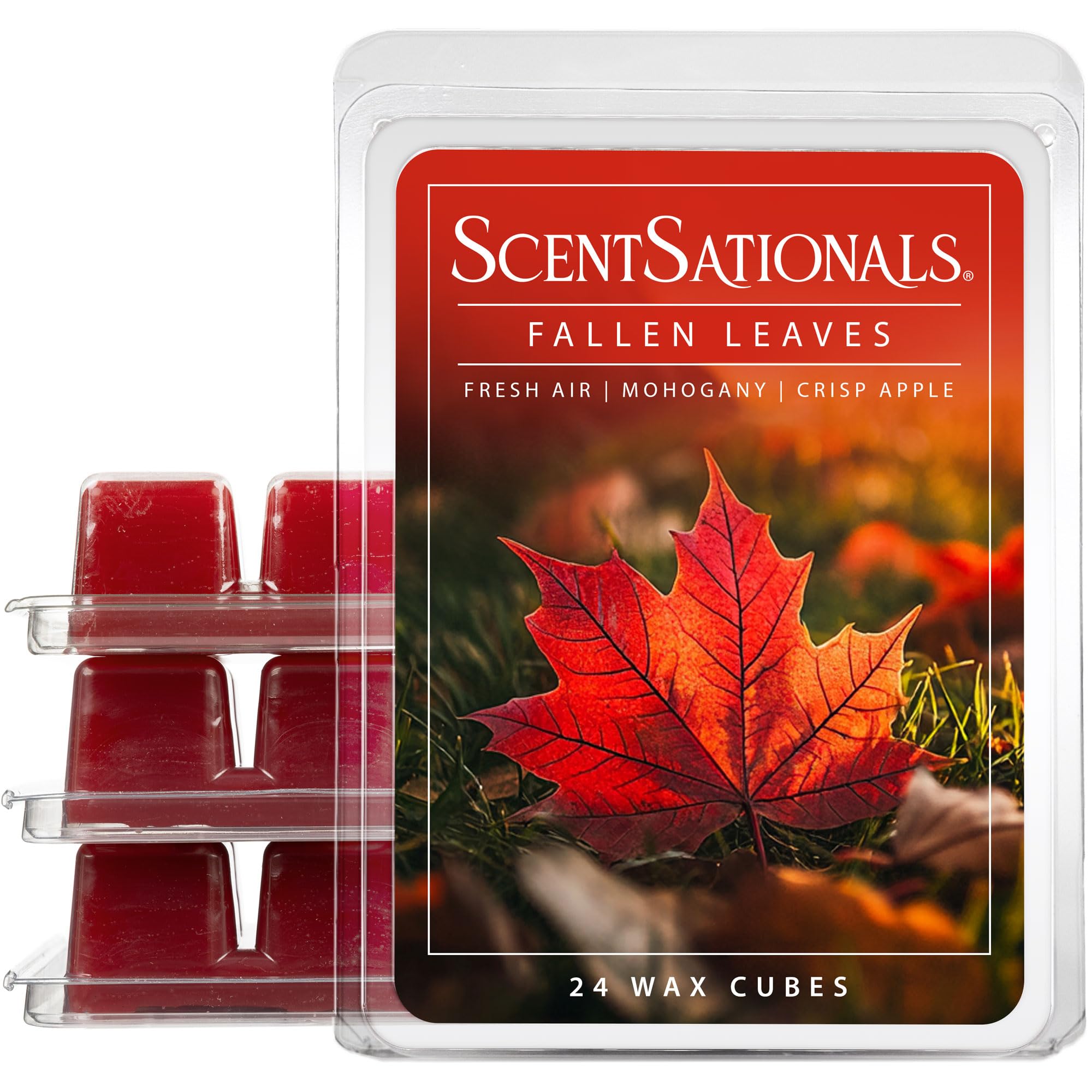 Scentsationals Fallen Leaves