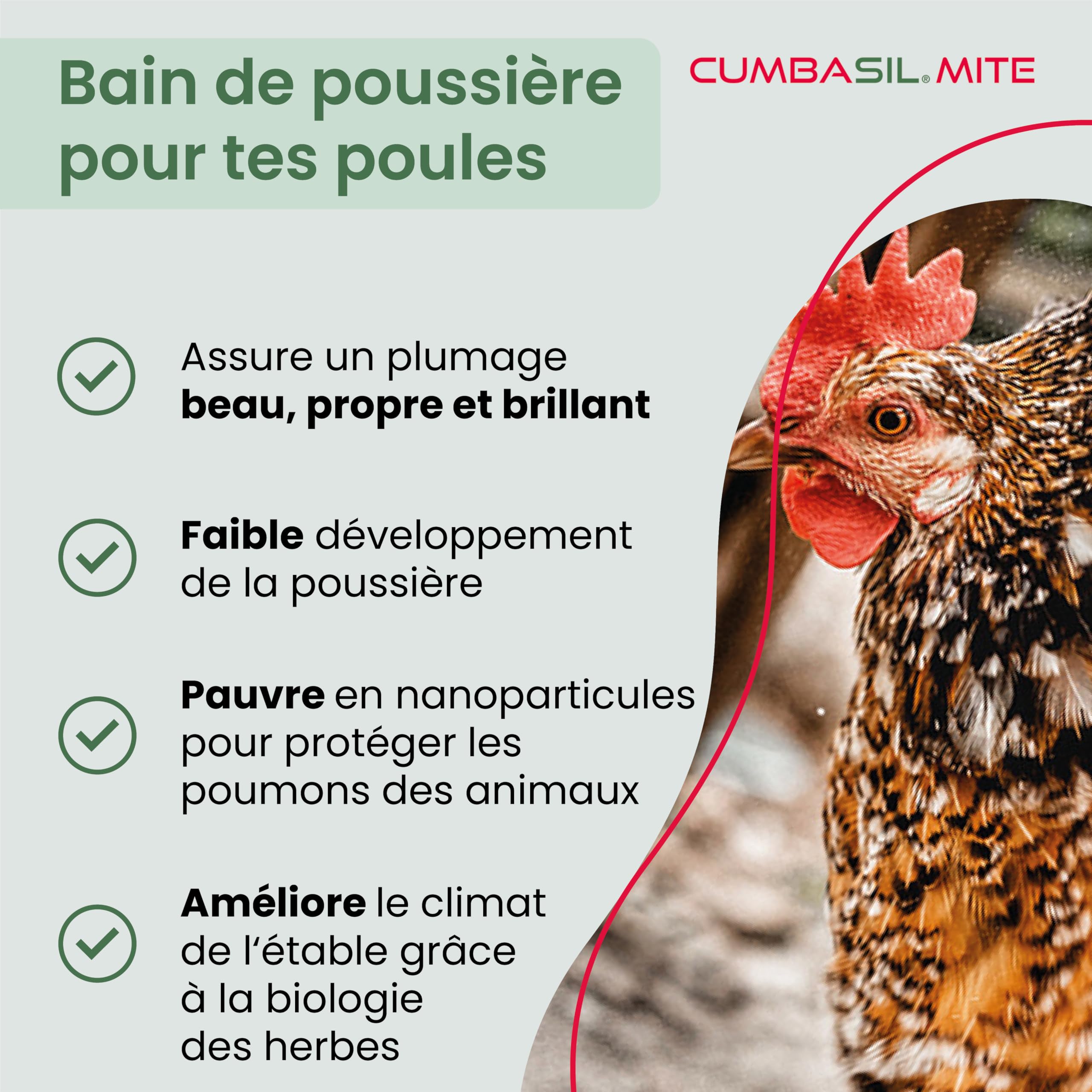 Mite bain de poussière pour poules 25kg, poudre contre les acariens, bain de sable, protection 100% naturelle contre les acariens, poudre contre les acariens, produit contre les acariens
