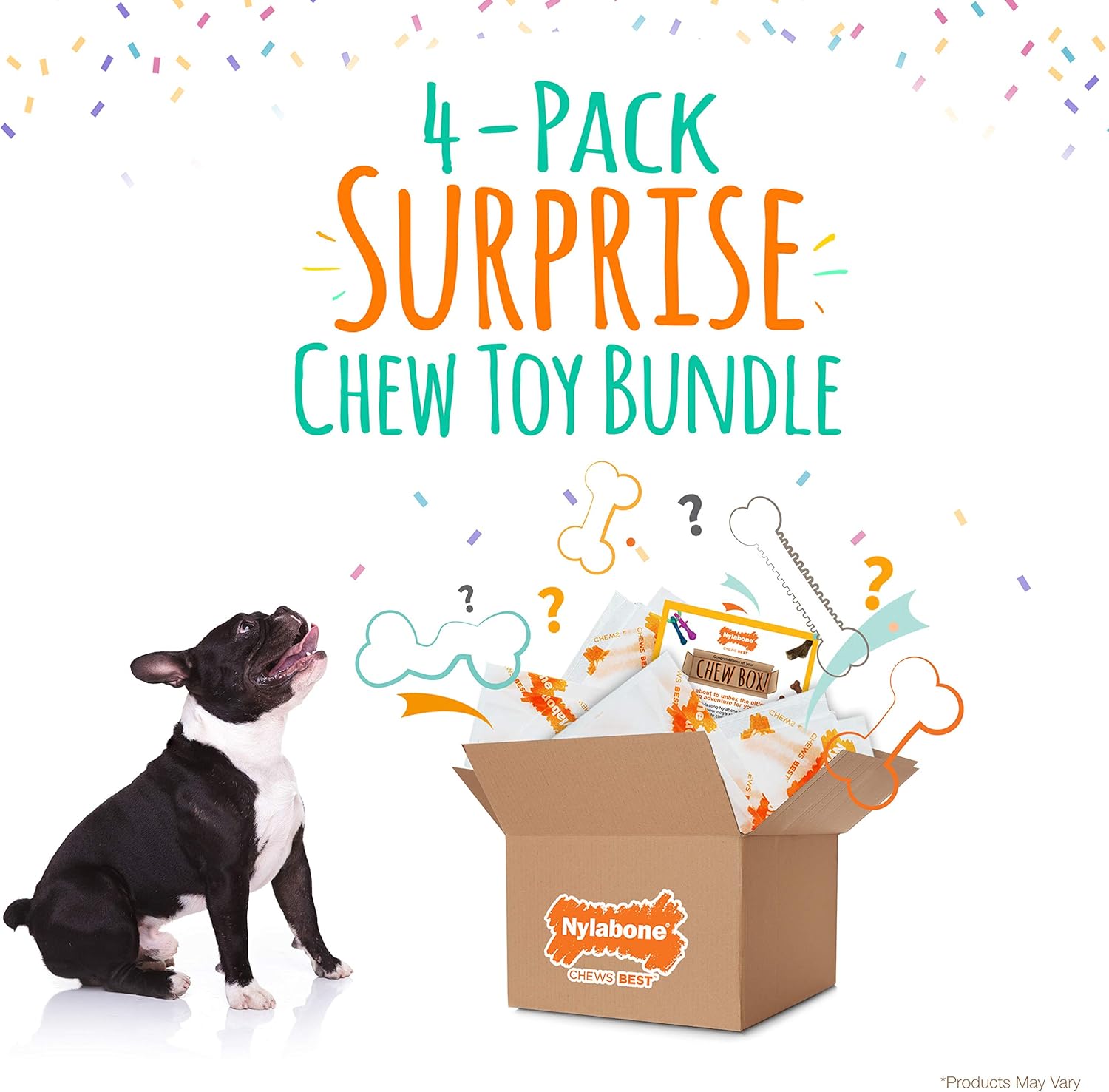 dog surprise box