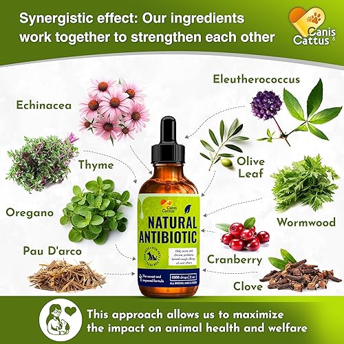 Miniatura 3 de Canis&Cattus Antibiótico natural para perros y gatos - Antibiótico líquido para mascotas - Apoya la inmunidad, reduce la inflamación, controla los