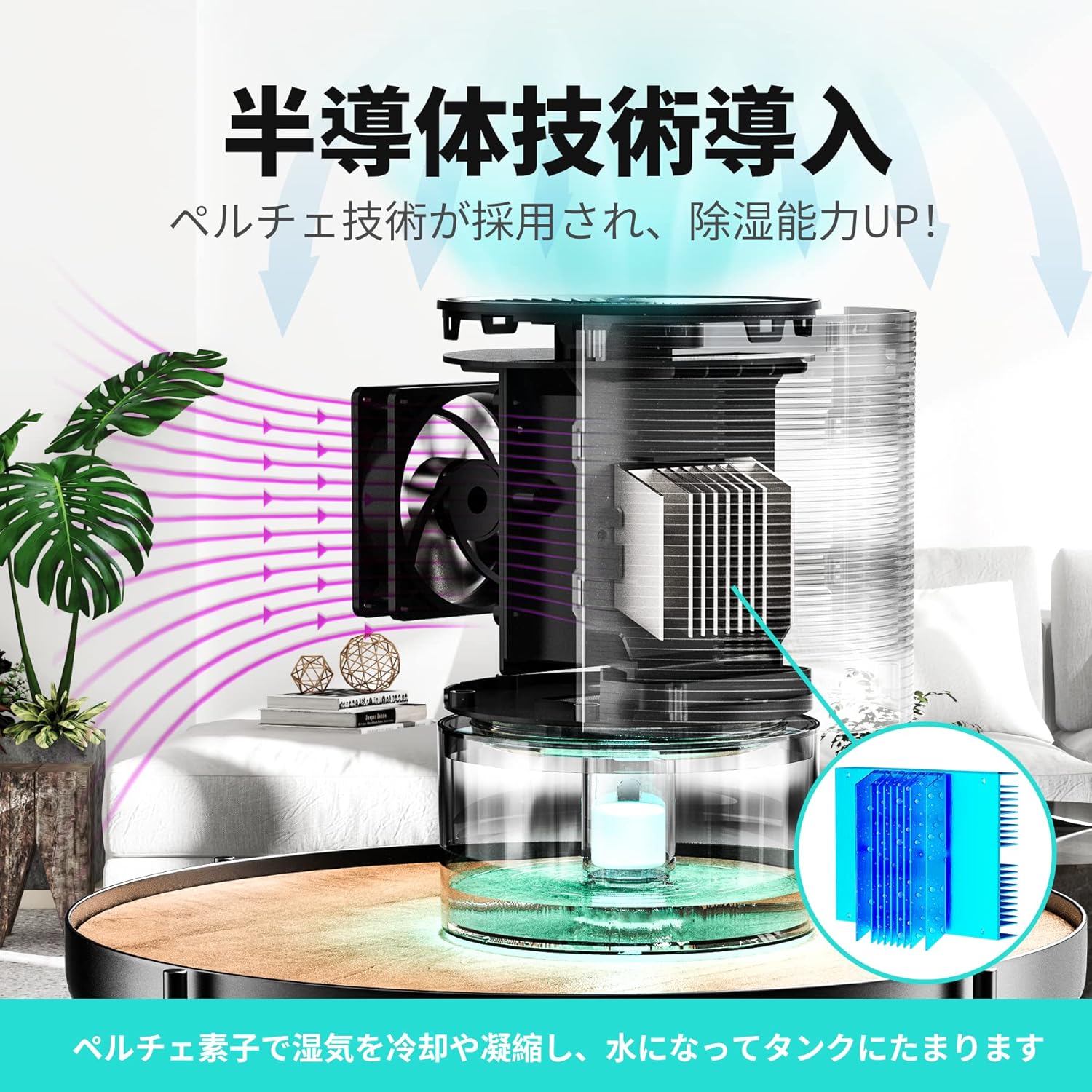 除湿機 小型 満水自動停止 除湿器 七色ナイトライト Tabyik ペルチェ式 強力除湿