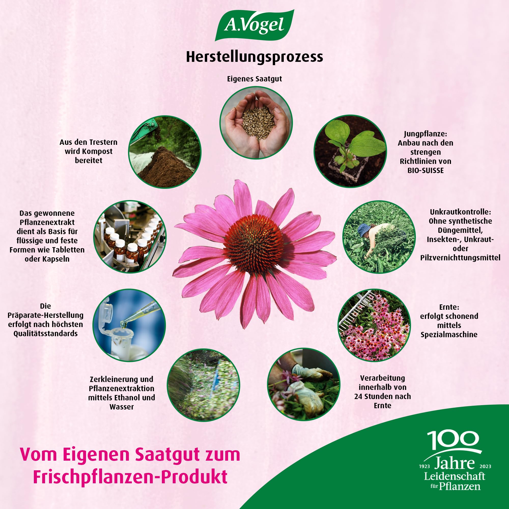 A.Vogel Echinaforce Forte Immune Tabletten 3 x 30 Stück, Immunsystem und Abwehrkraft, Nahrungsergänzungsmittel aus Echinacea Purpurea Extract, vegan, glutenfrei, laktosefrei
