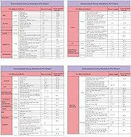 Vista 2 de Tactical Scorpion Gear TSG-IP16 Dentro De Los Pantalones Ocultos Llevar Funda De Nylon - Negro