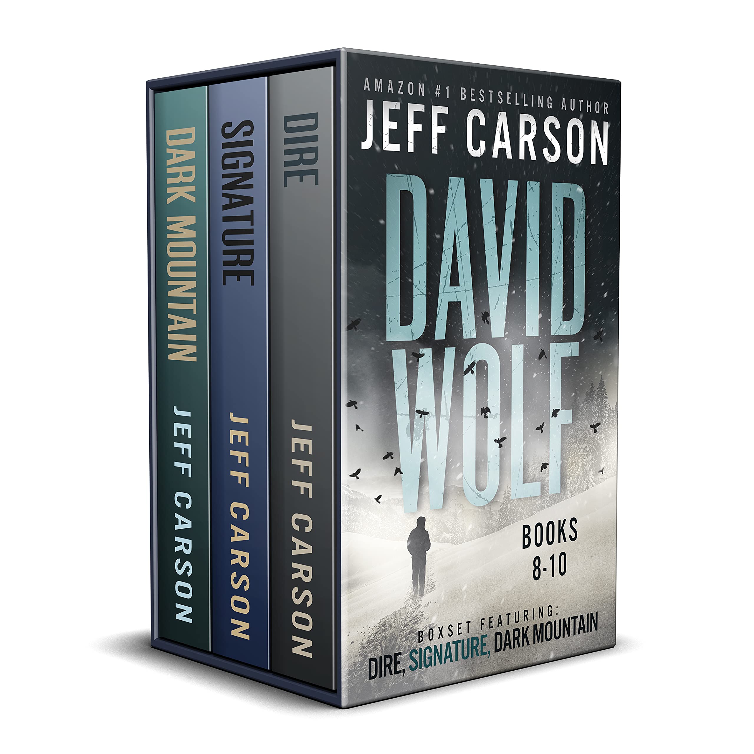 The David Wolf Mystery Thriller Series: Books 8-10 (The David Wolf Series Box Set Book 3)