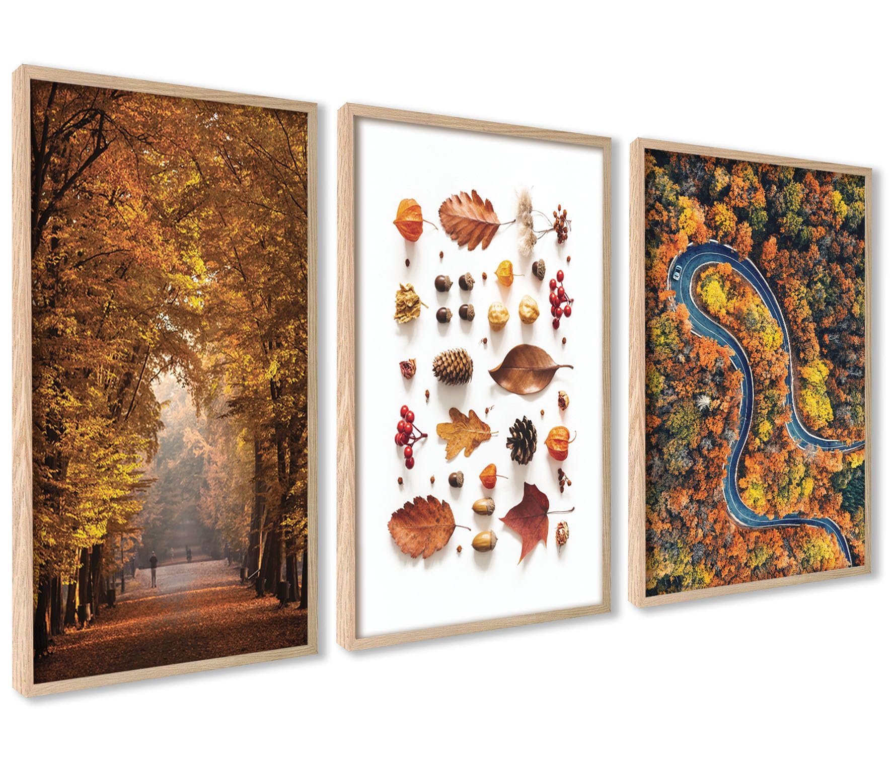 ag.art deco Poster Set Autumn Forest | 3 Pieces Din A4 21x30cm | Multi-part Wall Decoration Living Room & Bedroom | Without Frame — image 1