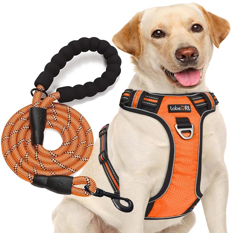 Peitoral ajustável refletivo de Oxford para cães com guia de 1,52 m tobeDRI, Laranja, Grande