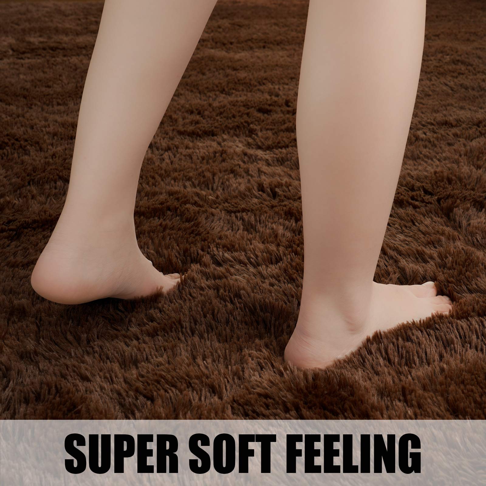 https://m.media-amazon.com/images/I/81Ck2+6uFaL.jpg