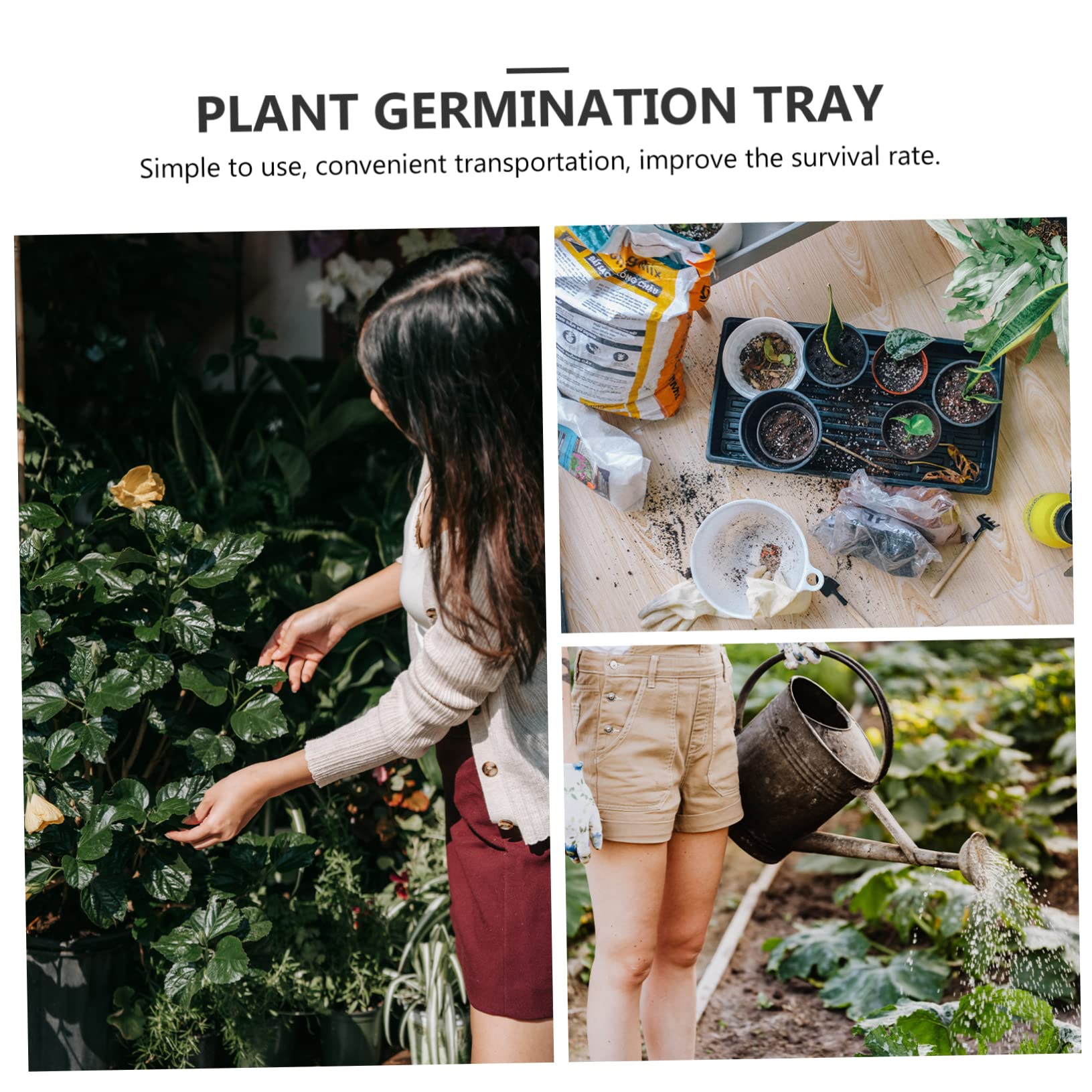 BESPORTBLE 6pièces Plateau de Germination pour Pépinière Jardinière Lot de Plateaux de Culture pour Micro-pousses