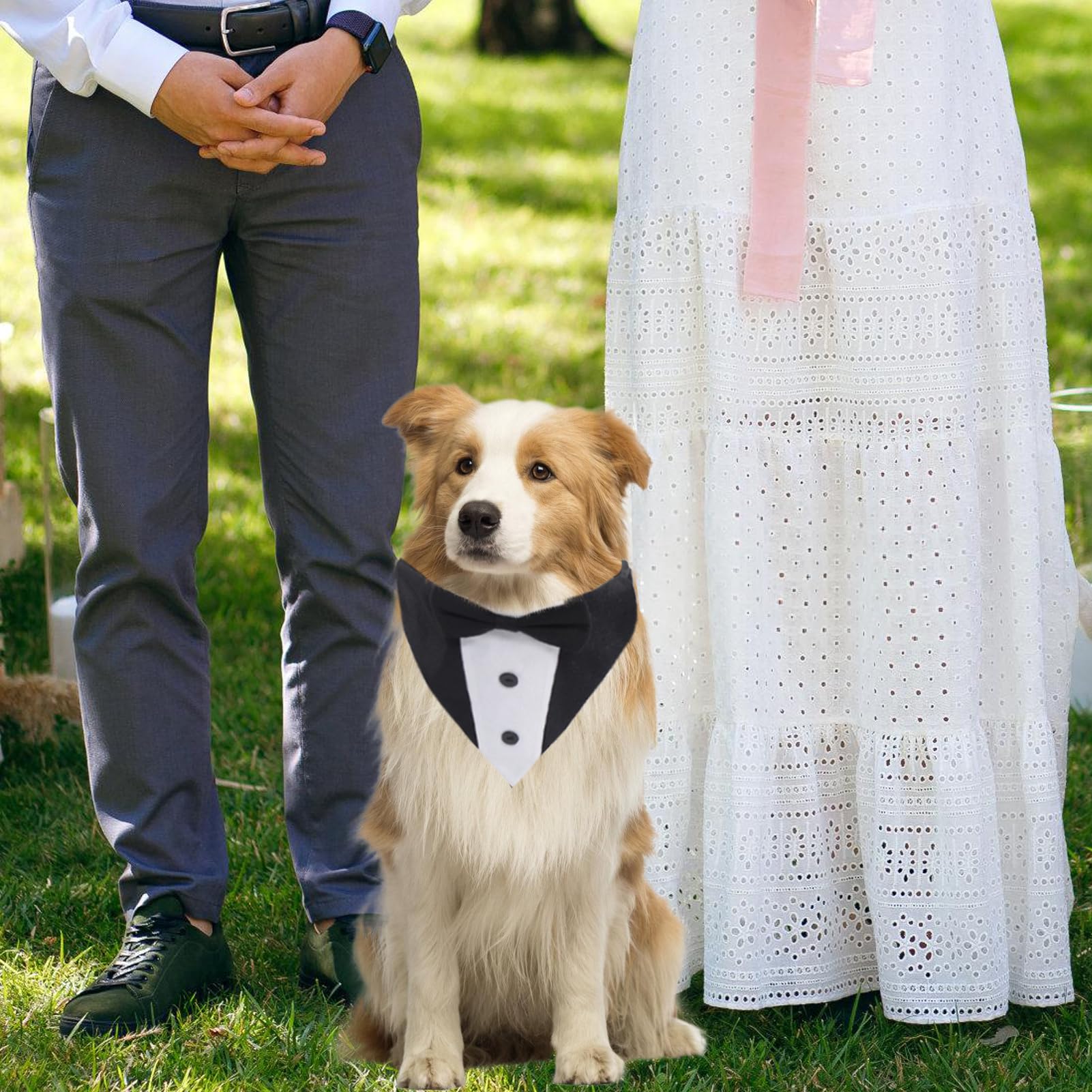 Haustier Anzug Mit Fliege Für Hunde - 2-teilig, Aus Baumwolle, Für Hochzeiten & Partys