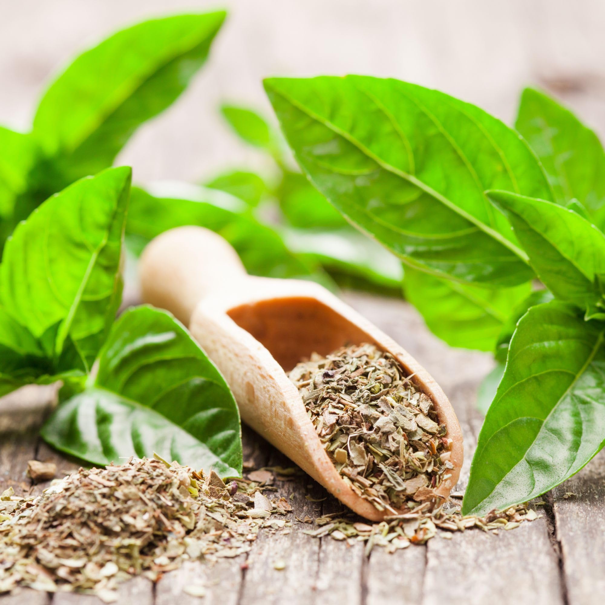Alpi Nature Ekologiczna Suszona Bazylia 250g, Suszone Cięte Liście Bazylii, Włoska Przyprawa