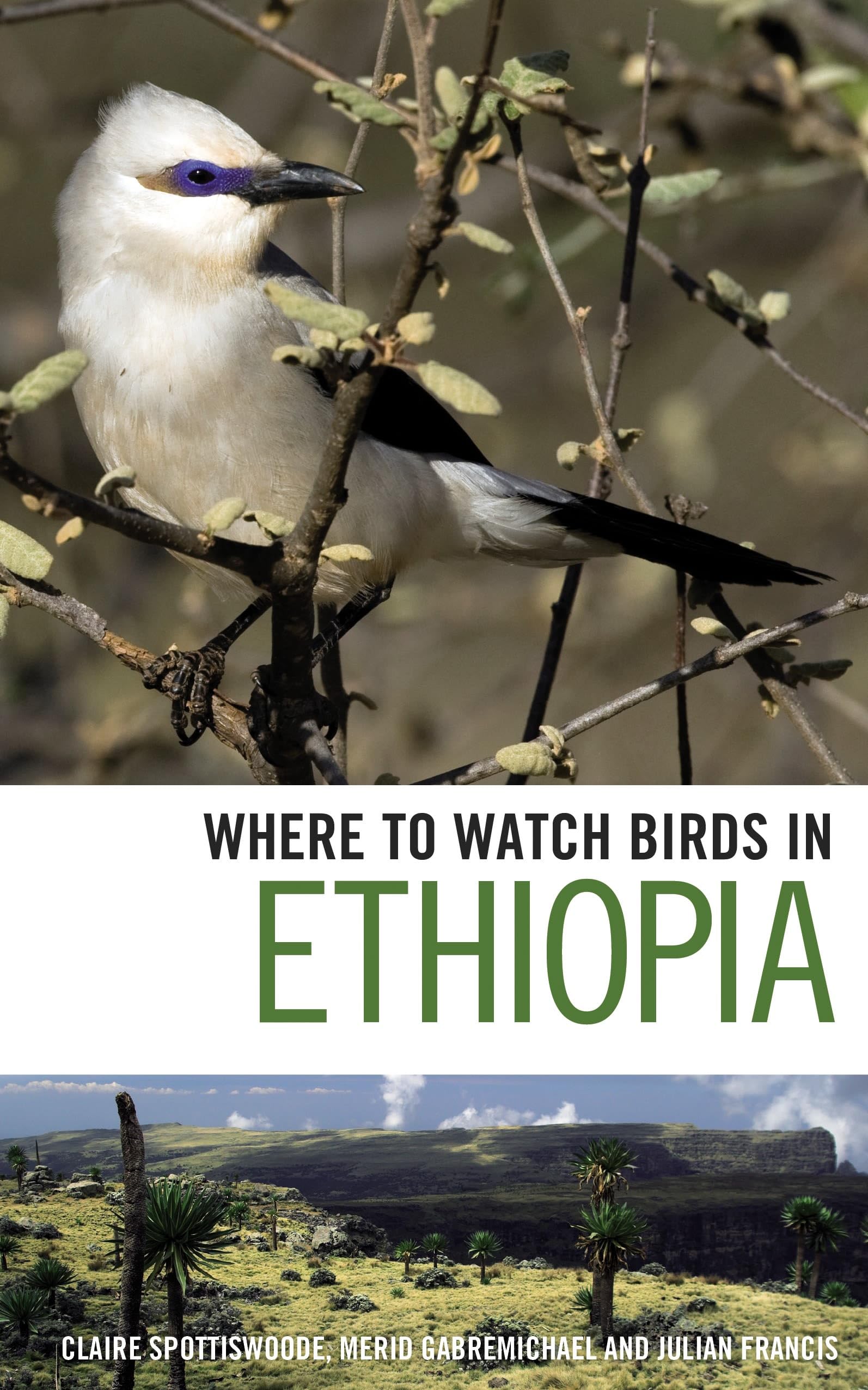 Buy Where to Watch Birds in Ethiopia — BookShops.in