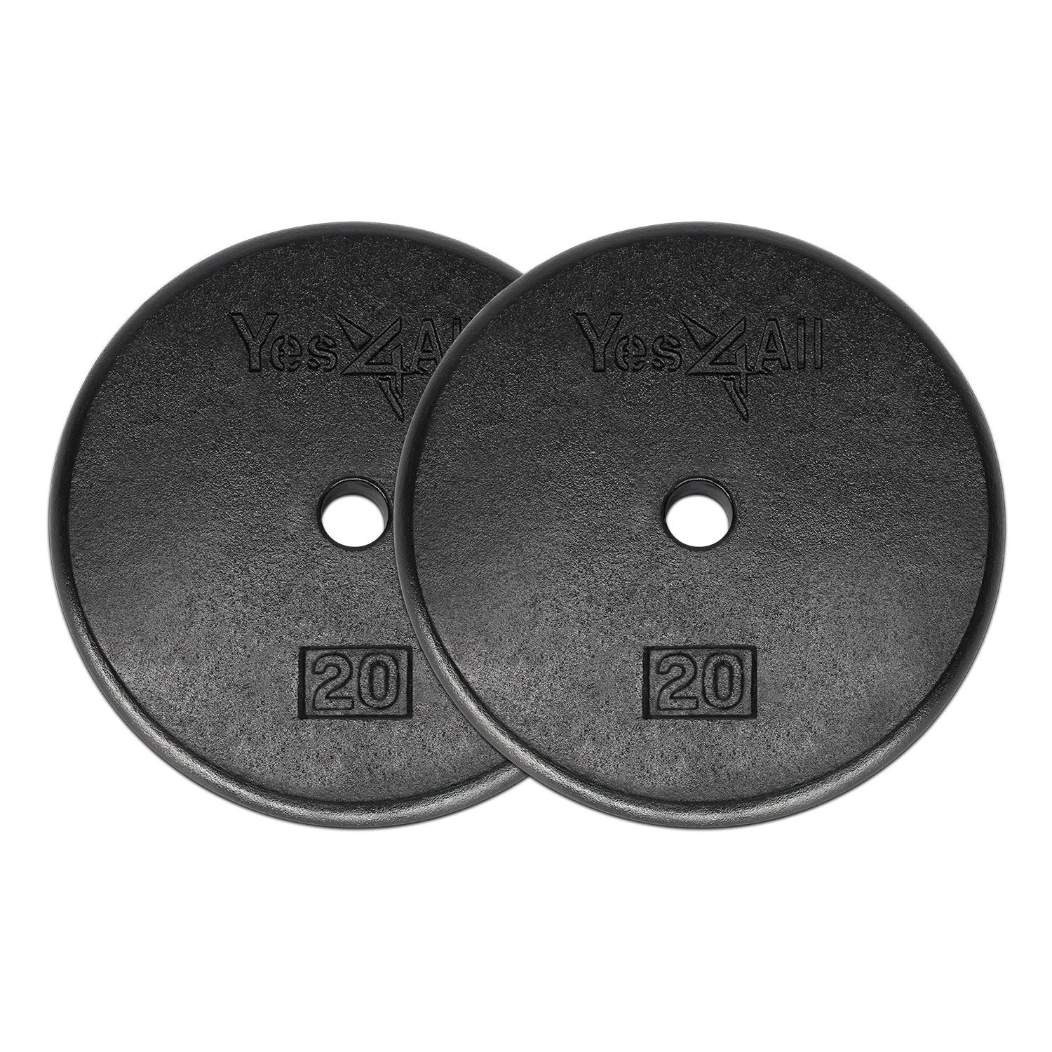 Leg Extension Muscles Worked