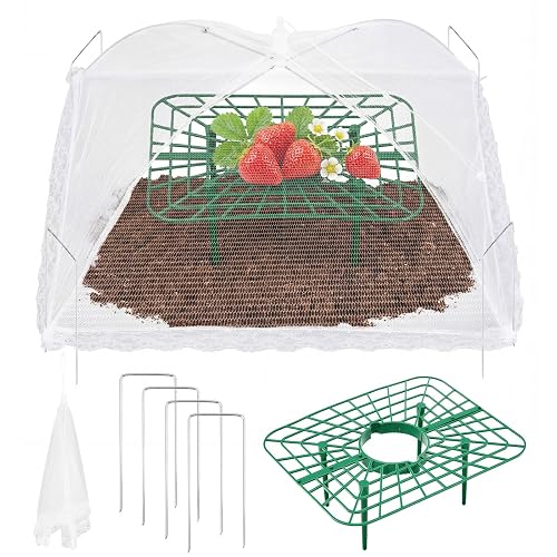 12 Sets Square Strawberry Plant Support with Mesh Plant Cover,